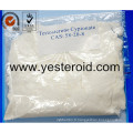 Testostérone crue Cypionate 58-20-8 de poudre de stéroïde anabolisant de bâtiment de muscle